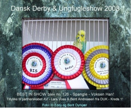 Images: bis_av_derby08_bd.JPG Images: bis_av_derby08_bd.JPG