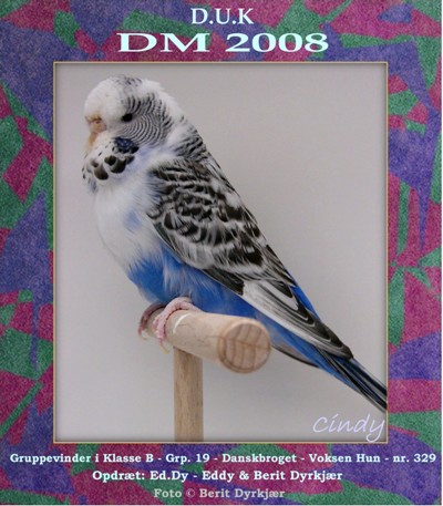 Images: gruppevinder_Grp_19_Klasse B.JPG Images: gruppevinder_Grp_19_Klasse B.JPG