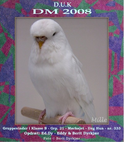 Images: gruppevinder_grp_21_klasse_B.JPG Images: gruppevinder_grp_21_klasse_B.JPG