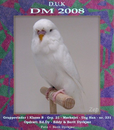 Images: gruppevinder_grp_21_klasse_b_ung_han.JPG Images: gruppevinder_grp_21_klasse_b_ung_han.JPG