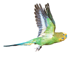 Images: image001.gif Images: image001.gif