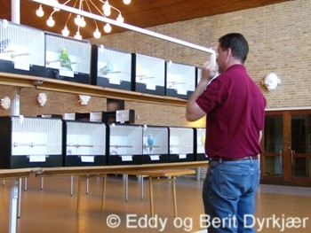 Images: jonas_nielson_dommer.JPG Images: jonas_nielson_dommer.JPG