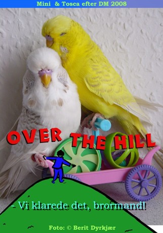 Images: mini_&_tosca_2.JPG Images: mini_&_tosca_2.JPG