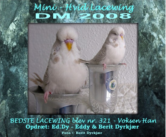 Images: mini_dm_2008_pokal.JPG Images: mini_dm_2008_pokal.JPG