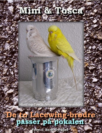 Images: mini_tosca_pokal_08.JPG Images: mini_tosca_pokal_08.JPG